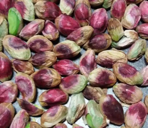 Pistachio price per Kg in last 2 years